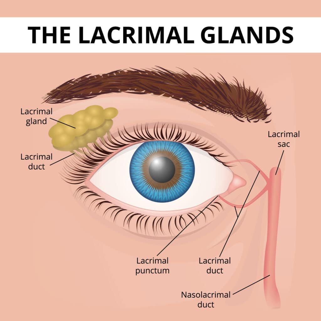 What are tear duct and eye socket disorders takle eye group