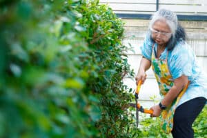 Woman trimming